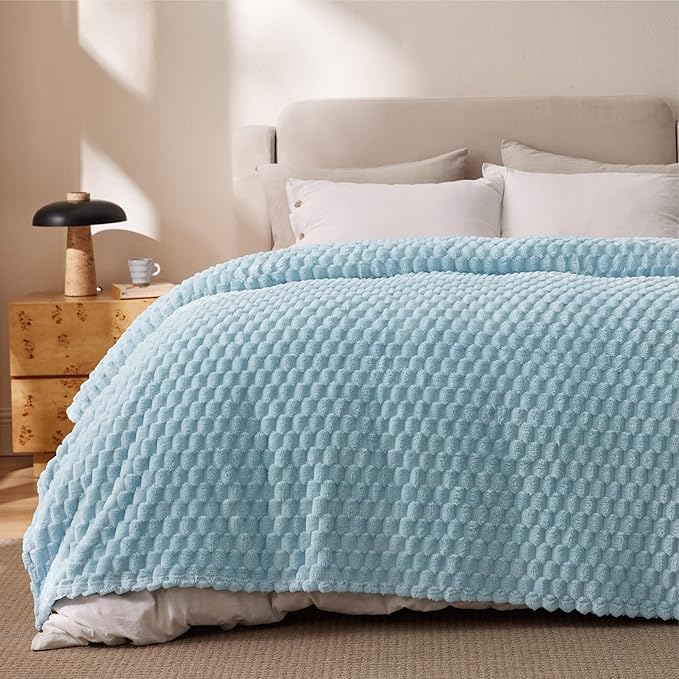 Bedsure Blanket Queen Size for Bed - 350GSM Fluffy Plush Bubble Blanket Queen Size for Home Room Decor, GentleSoft Cute Fleece Soft Cozy Gifts for Women Girls, Light Blue, 90x90 Inches