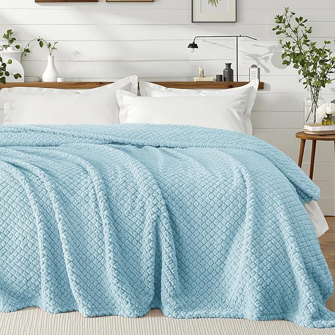 Exclusivo Mezcla Twin Size Fleece Blanket for Bed, Extra Soft Warm Decorative Fuzzy Blanket for Women, Lightweight Cozy Bedding Blankets, 60x80 Inches, Light Blue