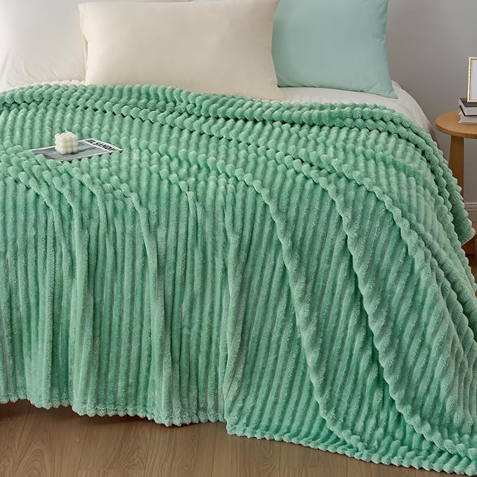 Joiedomi Queen Size Blanket for Bed, Soft & Warm Sage Green Fleece Blankets Gifts for Women Mom, Cozy Cute Soft Throw 90x90 Inches