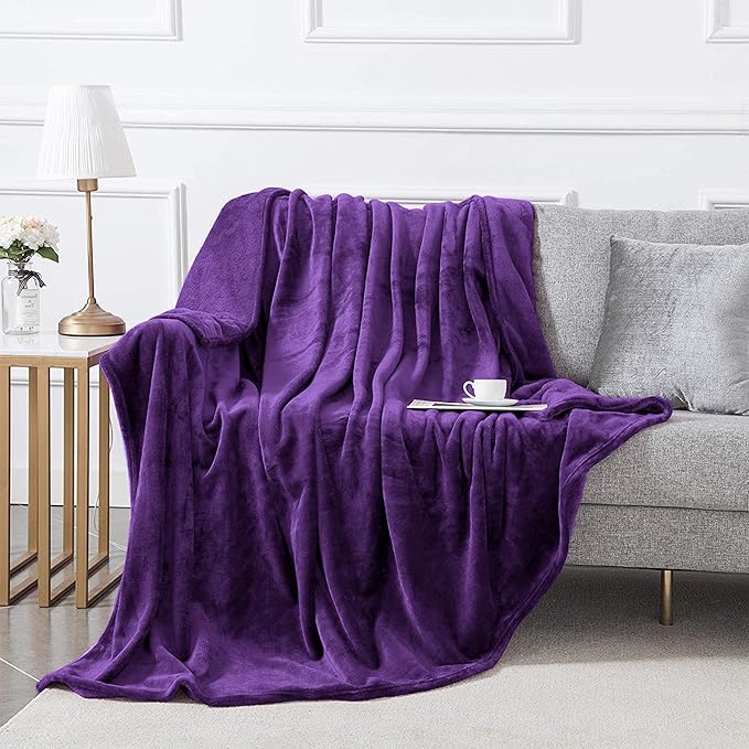 IR Imperial Rooms Fleece Blanket King Size – Soft 400 GSM Plush Microfiber King Size Blanket, Warm Lightweight King Blanket for The Bed, 108x90 Inches, Purple