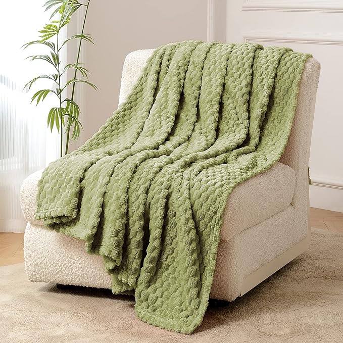 FY FIBER HOUSE Fleece Blanket Twin Size for Couch 300GSM Super Soft Plush Fuzzy Blankets and Throws for Sofa Bed Office, 60x80 Inches, Sage Green