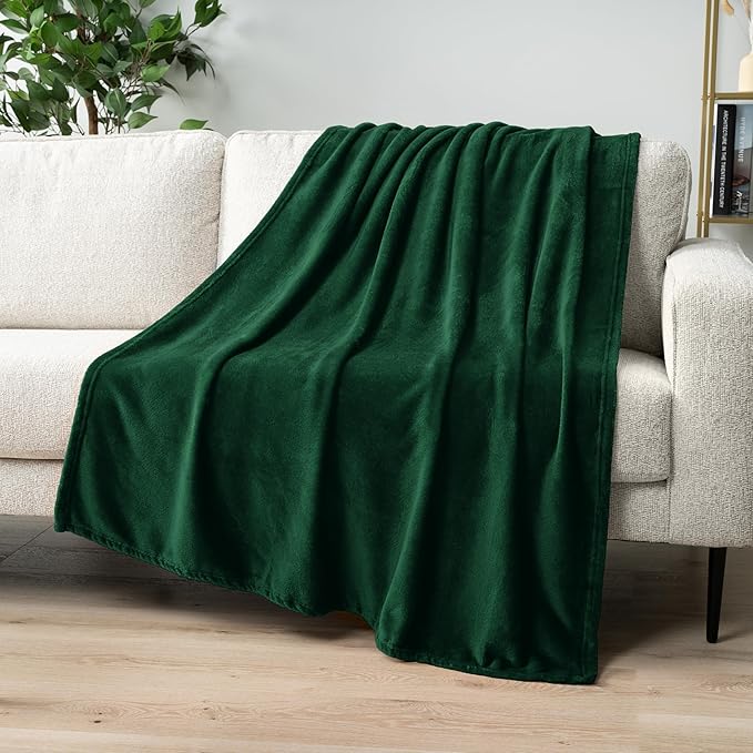 PAVILIA Fleece Blanket Queen Size | Super Soft, Plush, Luxury Flannel Throw | Lightweight Microfiber Blanket for Sofa Couch Bed (Emerald Green, 90x90 inches)