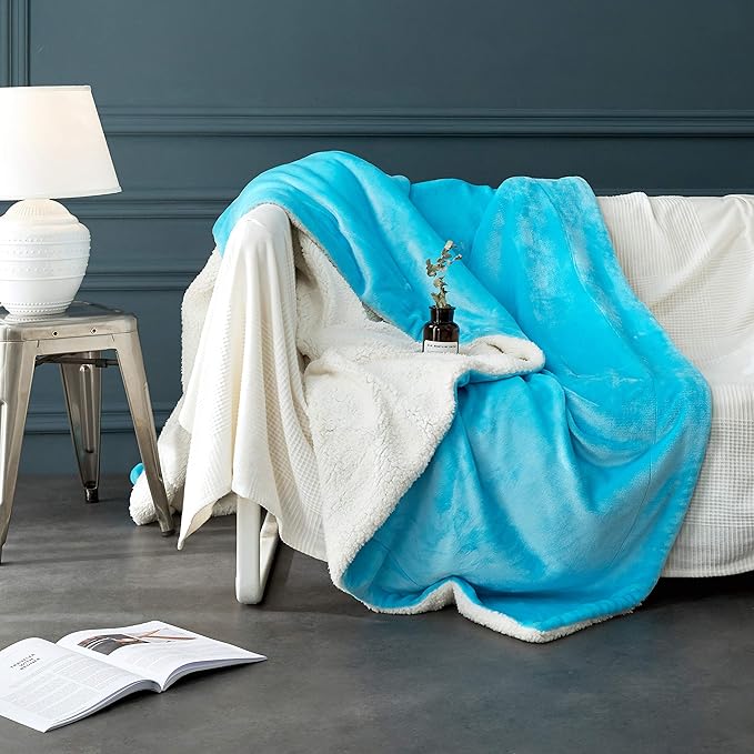 LBRO2M Sherpa Fleece Bed Blanket Fuzzy Plush Warm Super Soft Cozy Fluffy Microfiber Couch (Teal, Twin(65x90 Inches))
