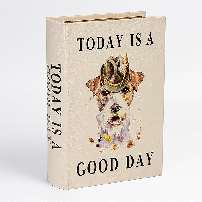 PACOLO Decorative Book Boxes, Faux Wood cover Storage for Hidden Jewelry, Money, and Cash (TODAY IS A GOOD DAY)
