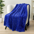 PAVILIA Sherpa Throw Blanket for Couch Sofa, Blue Fluffy Warm Plush Blanket for Bed, Cozy Super Soft Lightweight Throw, Fuzzy Decorative Blanket, All Season Home, 50x60