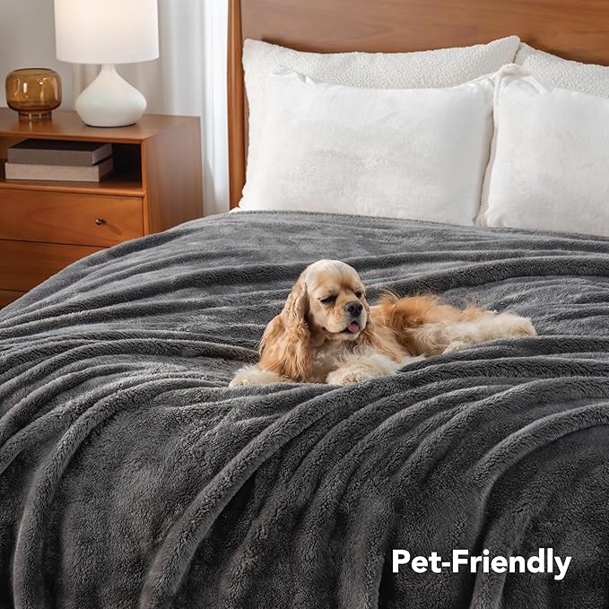 Berkshire Blanket Classic Extra-Fluffy™ Plush Blanket,Twin Size Bed Blanket,Soft Fuzzy Fluffy Long Hair Blanket for Couch Sofa Bed,Shadow Grey,60x92 Inches, E0554-TX-05U