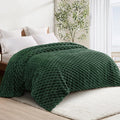 Whale Flotilla Queen Size Blanket for Bed with Jacquard Pattern, Fuzzy Soft Cozy Exquisite Blankets for All Season, Warm and Fluffy, 90x90 Inch, Emerald Green