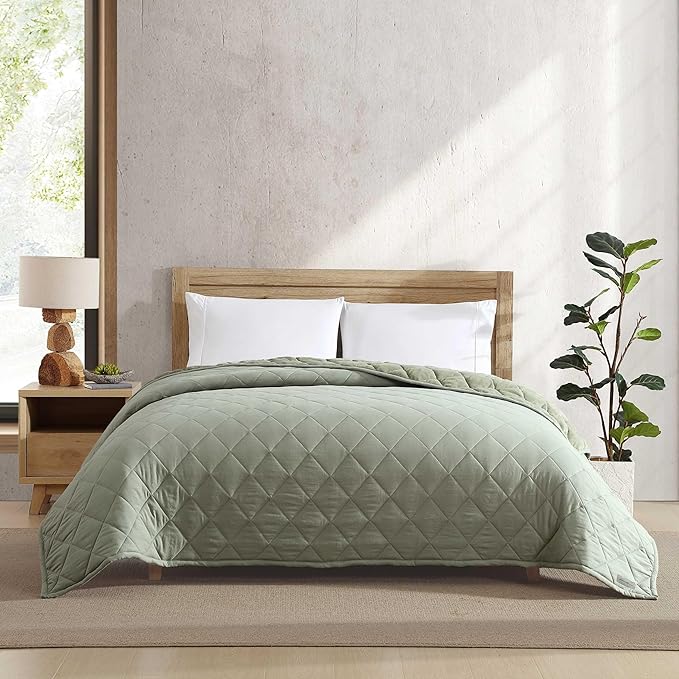 Eddie Bauer - King Size Blanket, Soft & Reversible Plush Bed Blanket, Brushed for Extra Softness with a Plush Smooth Texture, Throw Blanket for Couch or Bed (Classic Solid Green)