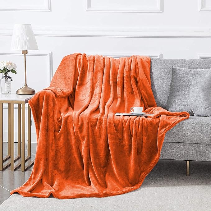 MOONLIGHT20015 Fleece Blanket 2 Pack Twin Size 60 x 80 Inches - Super Soft Fluffy Throw Blanket for Sofa and Bed - Warm and Cozy Lightweight 400 GSM Microfiber Bed Throws Blankets (Twin, Rust)