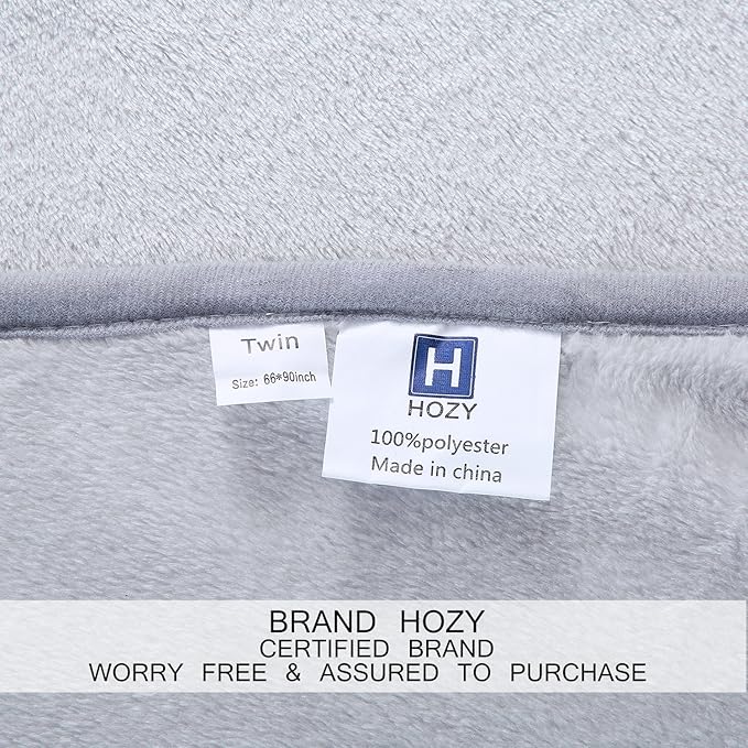 Soft Queen Size Blanket All Season Warm Fuzzy Microplush Lightweight Thermal Fleece Blankets for Couch Bed Sofa,90x90 Inches,Gray