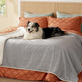 Bedsure Waterproof Blanket for Bed - Sherpa Fleece Waterproof Dog Blankets for Large Dogs, Pet Blankets for Bed/Couch/Dog Crate, Soft Plush Reversible Furniture Protector, Twin, 80"x60", Light Grey