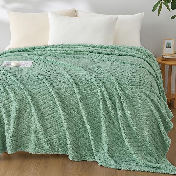 Joiedomi Queen Size Blanket for Bed, Soft & Warm Sage Green Fleece Blankets Gifts for Women Mom, Cozy Cute Soft Throw 90x90 Inches
