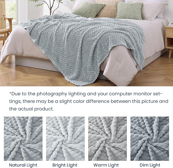 Monbix Haze Blue Fleece Throw Blanket for Couch- Room Decor Soft Cozy Blankets for Women, Lightweight Fuzzy Fleece Flannel Bed Blanket Suitable for All Seasons(60"×80",Haze Blue)