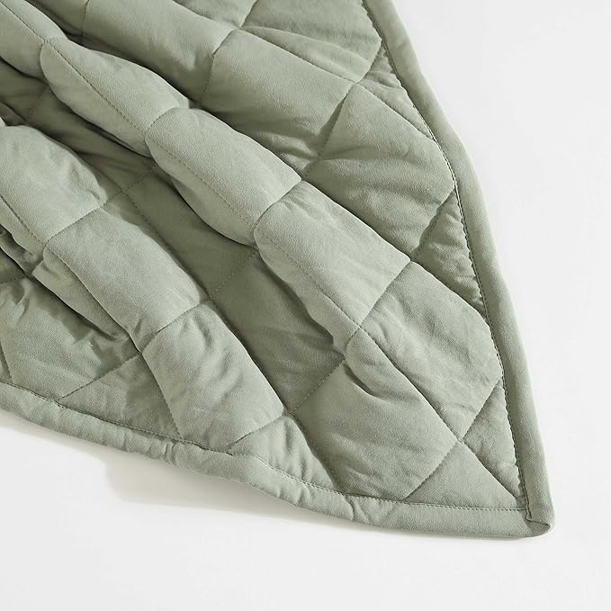 Eddie Bauer - King Size Blanket, Soft & Reversible Plush Bed Blanket, Brushed for Extra Softness with a Plush Smooth Texture, Throw Blanket for Couch or Bed (Classic Solid Green)