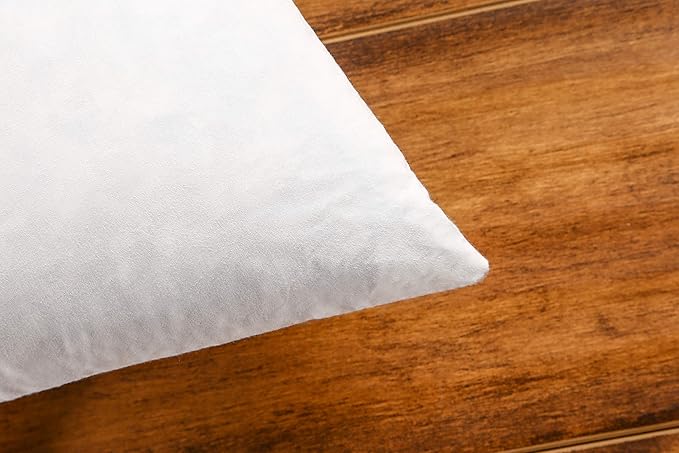 JA COMFORTS 26×26 Premium Goose Down Feather Throw Pillow Inserts(Set of 2)-5% Down Filling,High Filling Weight,250 TC Cotton Cover, Square, White