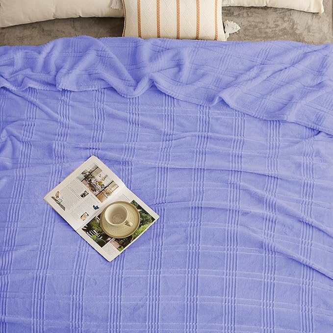 Super Soft Flannel Throw Blanket 50x60 Inches, Premium Checkered Jacquaed Silky Fleece Lightweight Bed Blanket All Season Use, Light Blue-1 Strip, 50"x60"