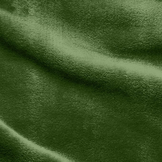 Elegant Comfort Luxury Velvety Softness Fuzzy Plush Micro-Velour Ultra-Soft Blanket, King/California King, Green