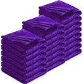 DREAMNINE Pack of 21 Fuzzy Soft Fleece Throw Blanket for Couch Sofa 50" x 60", Decorative Solid Lightweight Velvet Blankets for Chair, Cozy Accent Shaggy Plush Flannel Blanket for Bedroom, Purple