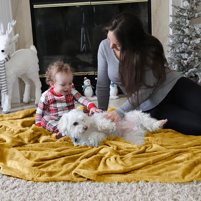 Bedsure GentleSoft Fleece Blanket Twin Size Yellow - 300GSM Lightweight Plush Fuzzy Cozy Soft Warm Blanket for Bed, Sofa, Couch, Travel, Camping, 60x80 inches