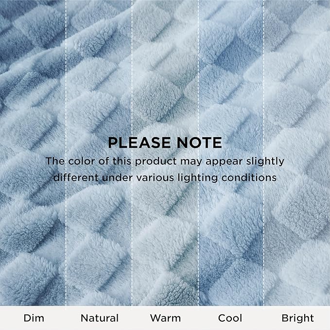 Bedsure GentleSoft Blankets Queen Size for Bed - Super Soft Cozy Blanket for Women Men Girls, Large Fuzzy Fleece Throw for Bedroom Decor, Light Blue, 90x90 Inches