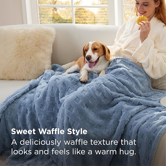 Bedsure Waffle Fleece Blanket for Couch - Ashley Blue GentleSoft Fluffy Checkered Twin Blanket for Sofa Bed Room Decor, Warm Cozy Cute Women Gift, 60x80 Inches