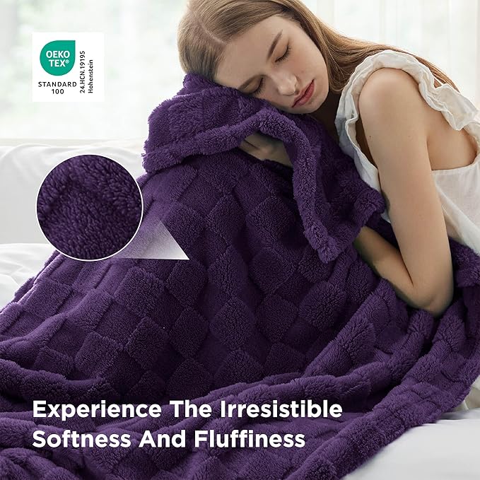 Bedsure GentleSoft Twin Blanket for Bed - Super Soft Cozy Blankets for Women Men Girls, Cute Fuzzy Fleece Throws for Bedroom Couch, Purple, 60x80 Inches