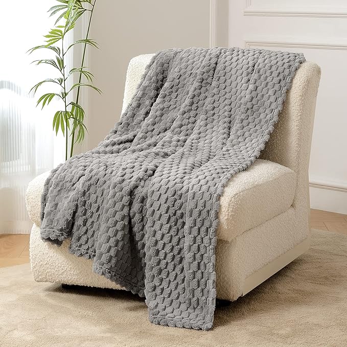 FY FIBER HOUSE Fleece Throw Blanket for Couch 300GMS Super Soft Plush Fuzzy Blankets and Throws for Sofa Bed Office, 40x50 Inches, Light Grey
