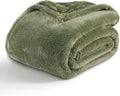 Berkshire Blanket Classic Extra-Fluffy™ Plush Throw Blanket, Soft Fuzzy Fluffy Long Hair Throw Blanket for Couch Sofa Bed, Dark Sage Green, 50x60 Inches