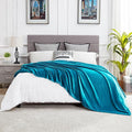 DREAMNINE Extra Large Soft Comfy Fluffy Fleece Bed Blanket Full Size 80" x 90", Luxury Huge Decorative Fuzzy Blanket for Women Girl, Big Cozy Shaggy Warm Flannel Blankets for Winter Autumn Pet, Teal