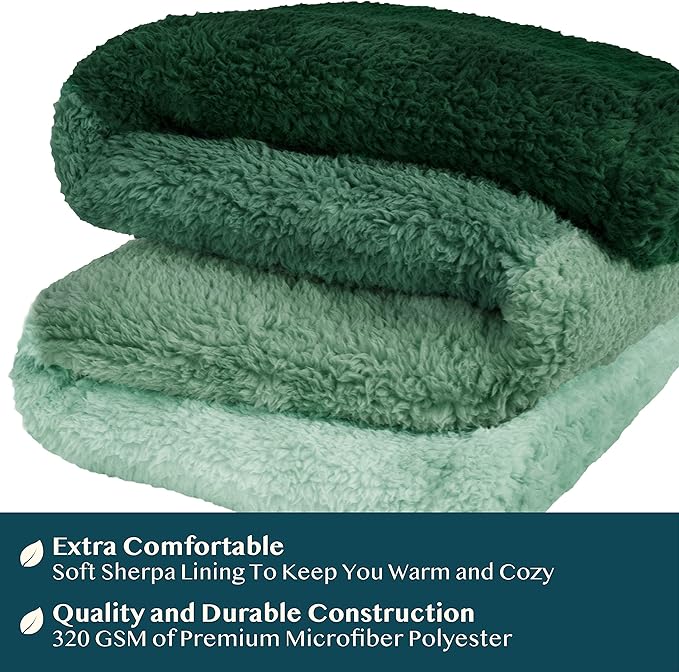 PAVILIA Fluffy Sherpa Throw Blanket Ombre | Gradient Plush, Soft, Fuzzy, Decorative Accent Throw Blanket for Couch Sofa Bed | Cozy Warm Decorative Furry Faux Fur Blanket, 50x60 Inches Green