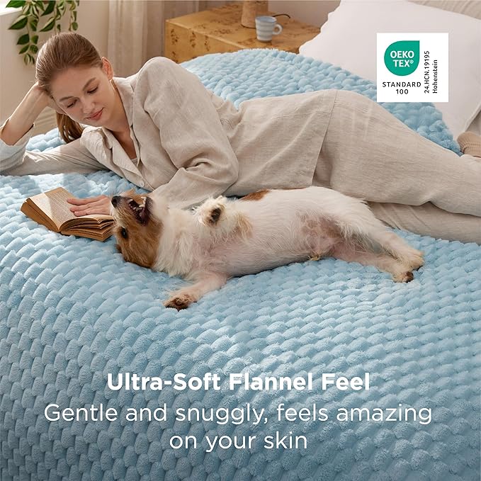 Bedsure Blanket Queen Size for Bed - 350GSM Fluffy Plush Bubble Blanket Queen Size for Home Room Decor, GentleSoft Cute Fleece Soft Cozy Gifts for Women Girls, Light Blue, 90x90 Inches