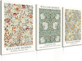 Induslyfe Framed Flower Wall Art Canvas Decor Set of 3, William Morris Wall Art Framed Prints Posters Mid Century Modern Art, Aesthetic Floral Botanical wall art for bedroom living room bathroom 12x16