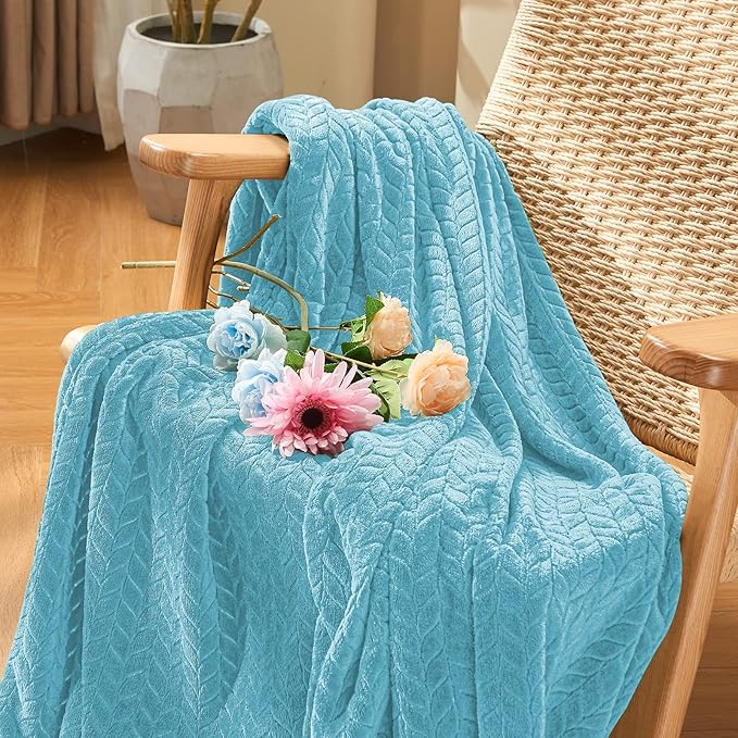 inhand Fleece Queen Blanket for Bed, Super Soft Flannel Cozy Queen Bed Blanket for Adults, Washable Lightweight Fuzzy Bed Blanket for Office, Warm Plush Blankets for All Season (90"×90", Blue)