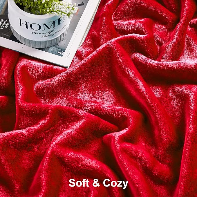 DREAMNINE Oversized Soft Fuzzy Flannel Fleece Throw Blanket Twin Size 60" x 80", Decorative Solid Lightweight Fluffy Velvet Bed Blankets, Luxury Big Cozy Shag Plush Microfiber Blanket for Bedroom, Red