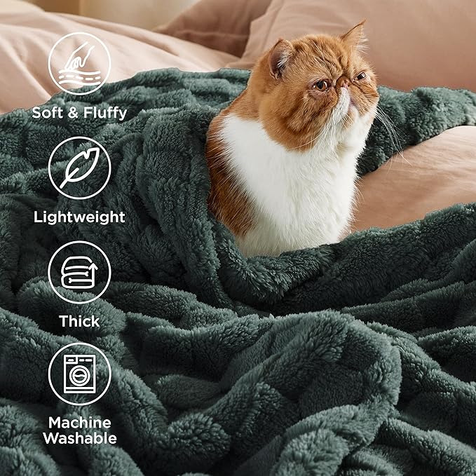 Bedsure GentleSoft Dark Green Spring Throw Blanket for Couch - Super Soft Cozy Blankets Gifts for Women Men Girls, Cute Small Fleece Mother's Day Throws for Bedroom Home Decor, 50x70 Inches