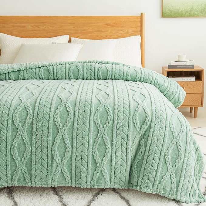 COOVA Sage Green Fleece Queen Blanket for Bed - Super Soft Cozy Plush Fuzzy Blanket for Sofa,Premium Sherpa Warm Large Throw for Women,Couch,Chair,90x90 Inches