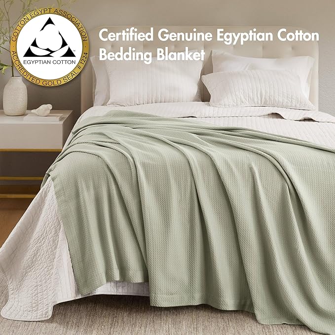 Madison Park 100% Egyptian Cotton Lightweight Summer Blanket, Breathable Waffle Knit Design, Soft Cozy All-Season Throw for Bed, Couch or Sofa, Sage Green Full/Queen Size (90"x90")