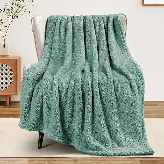 Exclusivo Mezcla Soft Fleece Throw Blanket for Couch, Super Soft Velvet Plush Fleece Blankets, Fuzzy Cozy and Warm for Winter, 50x60 Inches, Celadon