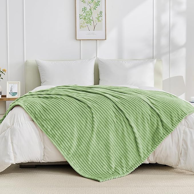 Bnuitland Fleece Throw Blanket, 300GSM Soft Warm Cozy Fluffy Throw for Babys & Pets, Stripe Pattern, All Season Sofa Bed Blanket for Home Decor, Light Green 60"x80"