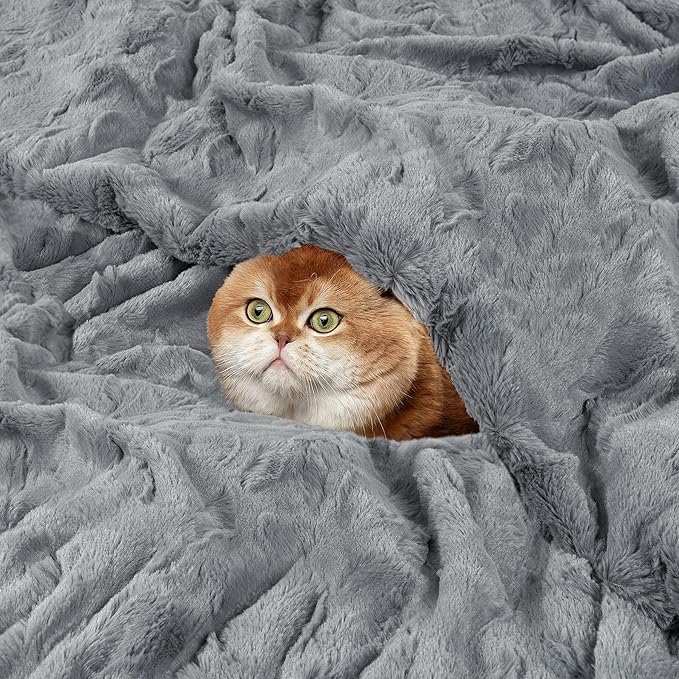 TOONOW Faux Fur Luxury Throw Blanket,Double Side Soft Fluffy Shaggy Fuzzy Blanket for Couch Sofa Bed (Light Grey, X-Large Twin Size)