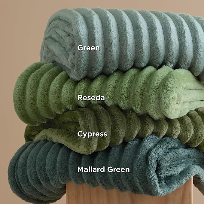 Bedsure GentleSoft Christmas Throw Blanket for Couch - Cozy Soft Blankets for Women, Cute Small Fleece Christmas Throws Gifts for Teens Girls Room Home Decor, Reseda, 50x60 Inches