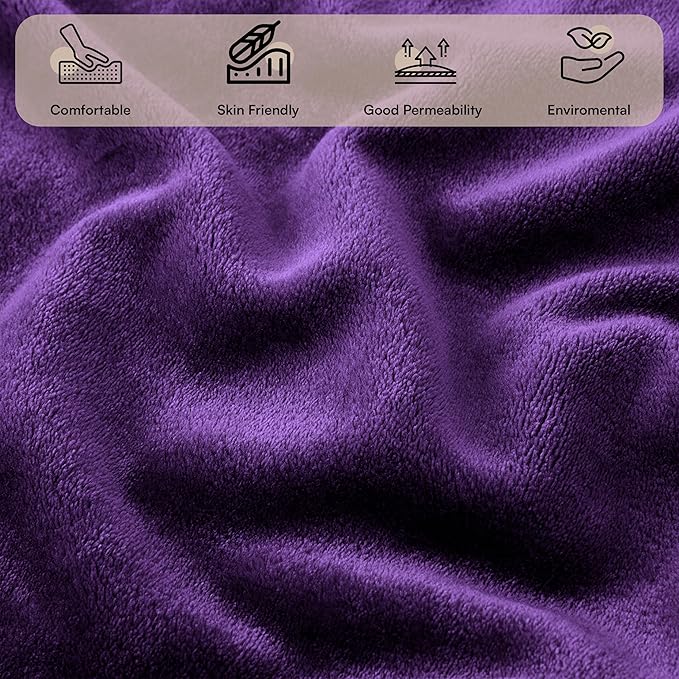 IR Imperial Rooms Fleece Blanket 2 Pack - Super Soft Fluffy Purple Throw Blanket for Sofa and Bed - Warm and Cozy Lightweight 400 GSM Microfiber Bed Throws Blankets, 50x60 Inches (Throw/Travel)
