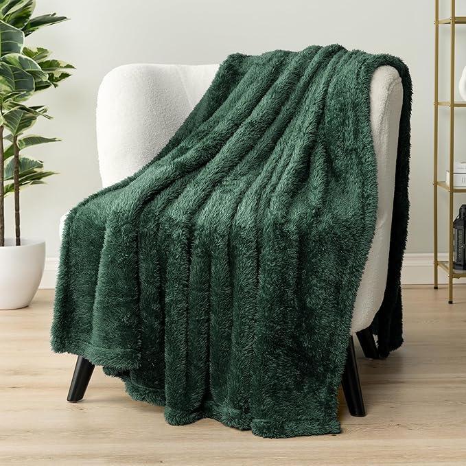 PAVILIA Sherpa Throw Blanket for Couch Sofa, Emerald Green Fluffy Warm Plush Blanket for Bed, Cozy Super Soft Lightweight Throw, Fuzzy Decorative Blanket, All Season Home, 50x60