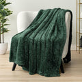 PAVILIA Sherpa Throw Blanket for Couch Sofa, Emerald Green Fluffy Warm Plush Blanket for Bed, Cozy Super Soft Lightweight Throw, Fuzzy Decorative Blanket, All Season Home, 50x60
