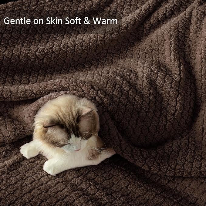 Exclusivo Mezcla Twin Size Fleece Blanket for Bed, Extra Soft Warm Decorative Fuzzy Blanket for Women, Lightweight Cozy Bedding Blankets, 60x80 Inches, Coffee