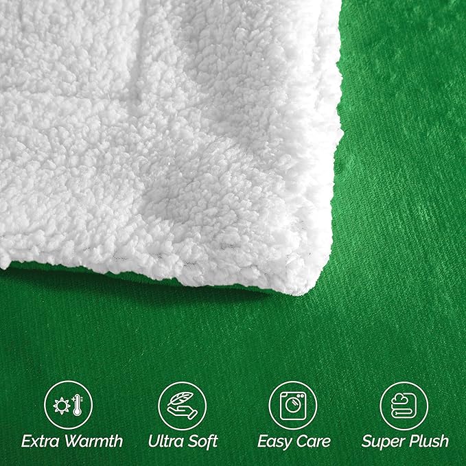 Elegant Comfort Ultra Soft Reversible Flannel Sherpa Blanket - Cozy Silky Fleece Throw for Couch, Bed - Plush Fuzzy Warm Winter Blanket for Gift, Full, Emerald Green