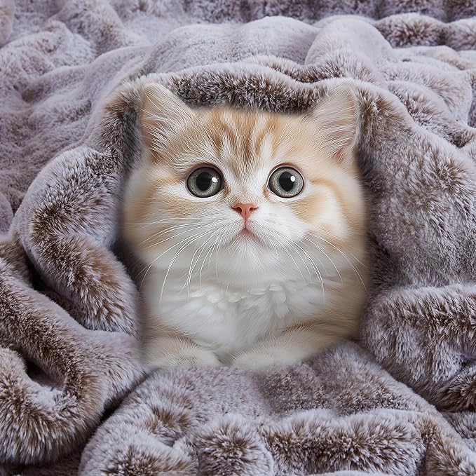 Hyde Lane Soft Cozy Faux Rabbit Fur Throw Blanket, Luxury Plush Fuzzy Blanket for Sofa Couch, Thick Warm Fluffy Throw for Women As a Gift, Periwinkle Chinchilla, 50"x60"