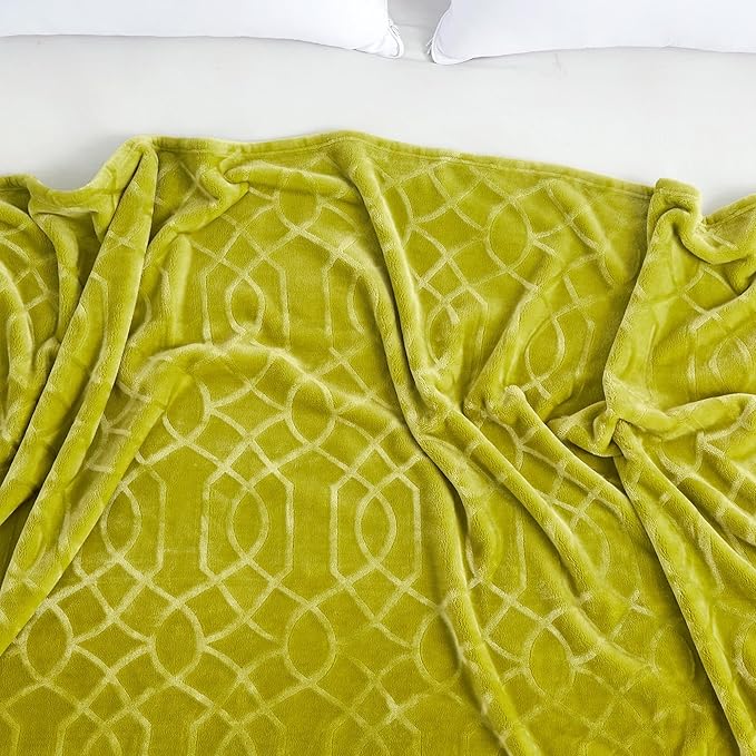 Soft Cozy Fleece Queen Size Blanket, 90x90 Inches – Lightweight Plush Blanket for Bed, Fuzzy 3D Jacquard Design - Olive Green