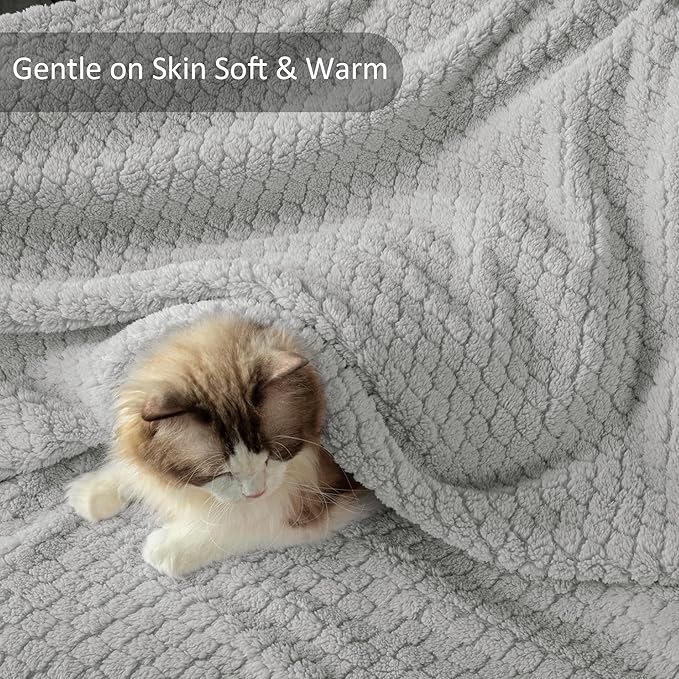 Exclusivo Mezcla Twin Size Fleece Blanket for Bed, Extra Soft Warm Decorative Fuzzy Blanket for Women, Lightweight Cozy Bedding Blankets, 60x80 Inches, Light Grey