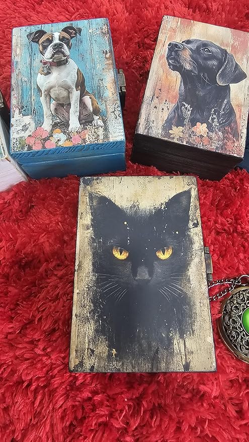RK Collections Black Cat Trinket Box | Small Jewelry Keepsake Box | Pet And Paw Lovers Gift Idea For Animals (4 x2.75)